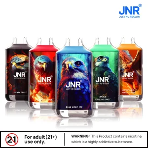 JNR Falcon 16000 Puffs | Vape rechargeable Dual Mesh